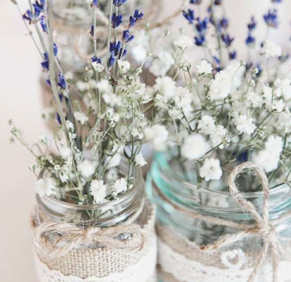 Lavanda